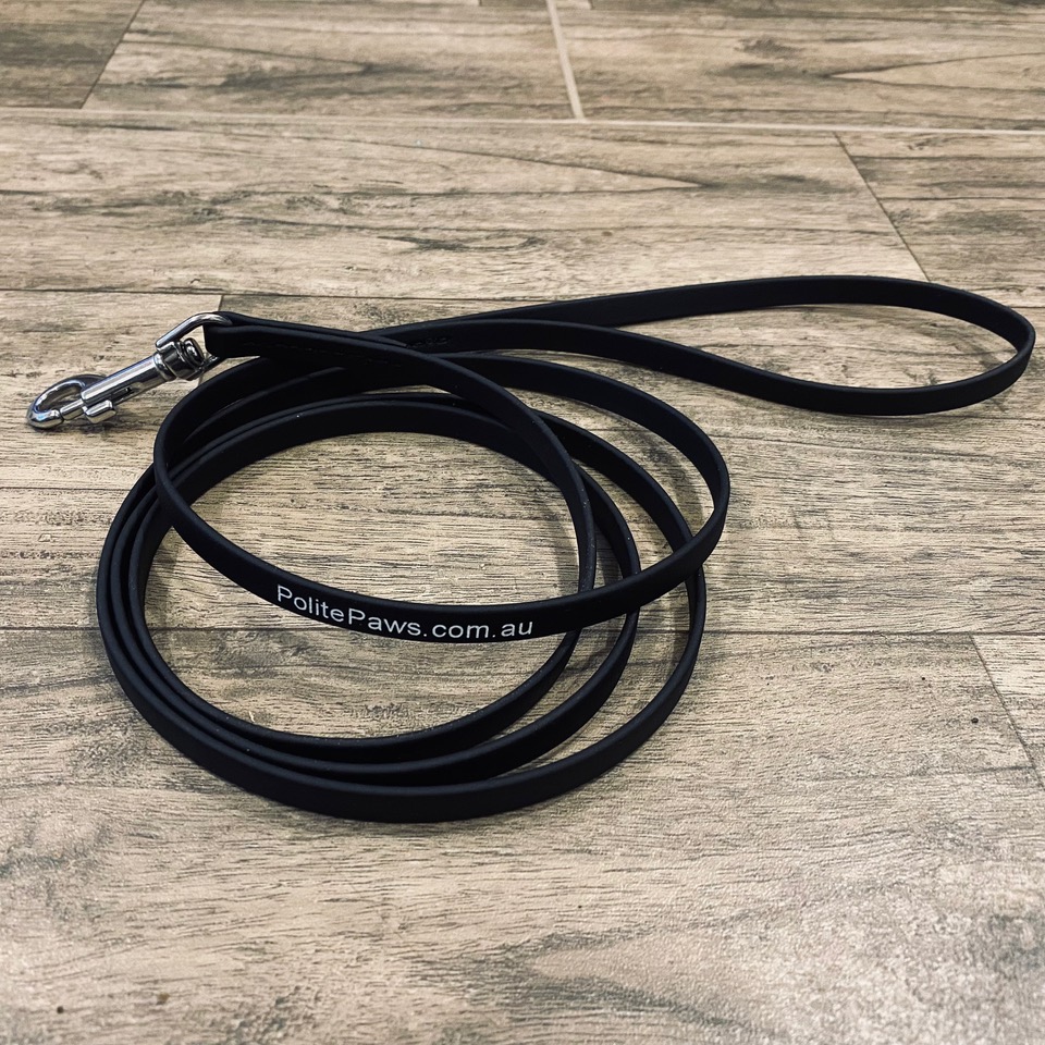 6ft Black Biothane Training Lead - Small Stainless Steel Snap